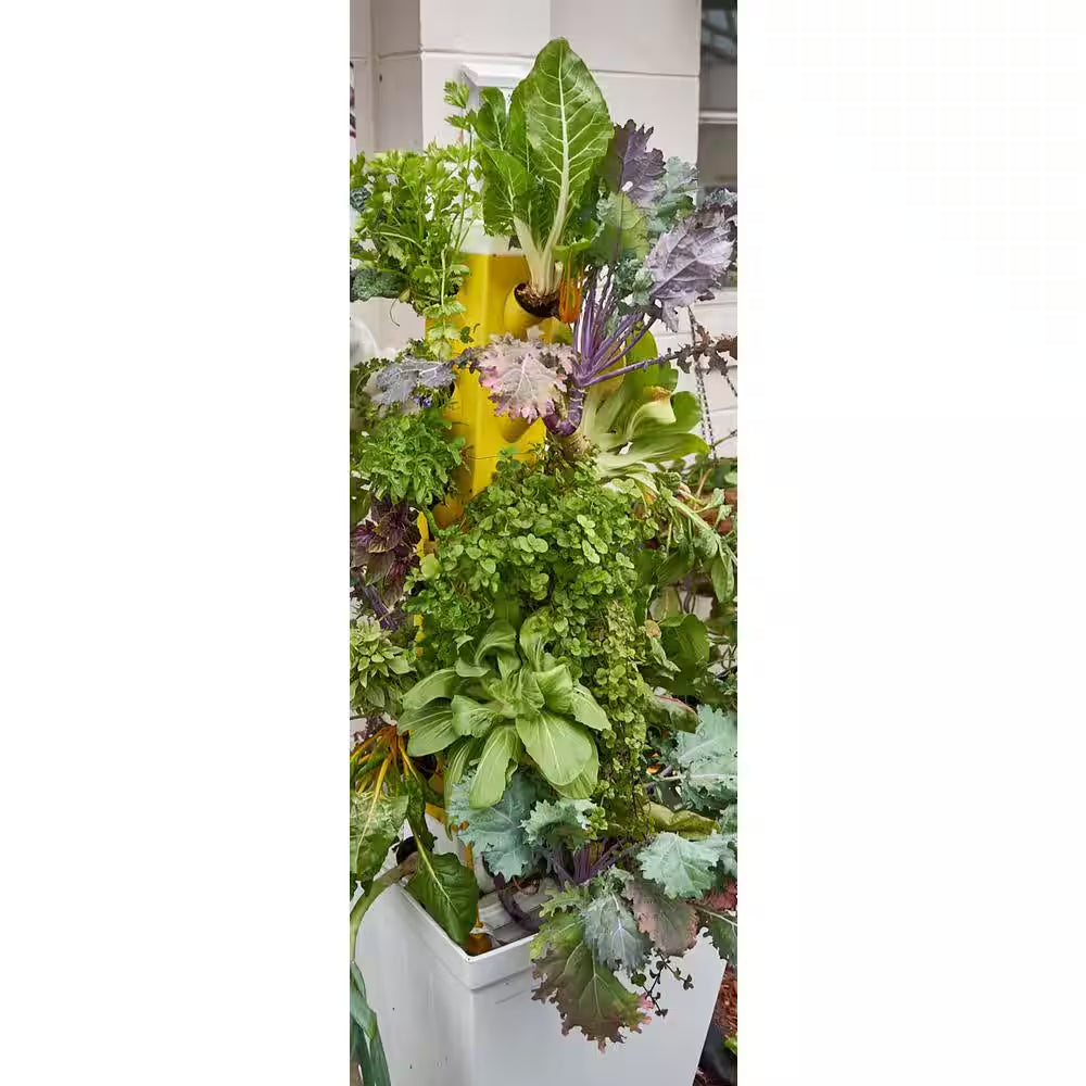 Vertical Hydroponic Garden Tower System Indoors and Out