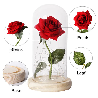 Beauty and the Beast Rose Rose in LED Glass Dome Forever Rose Red Rose Valentine'S Day Mother'S Day Special Romantic Gift