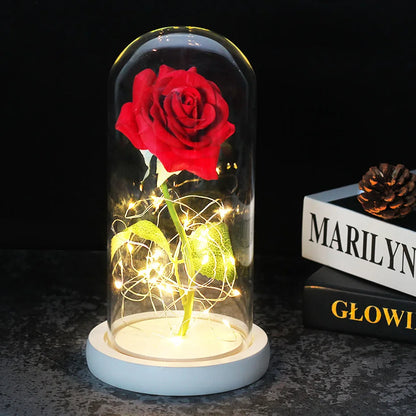 Beauty and the Beast Rose Rose in LED Glass Dome Forever Rose Red Rose Valentine'S Day Mother'S Day Special Romantic Gift